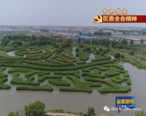 贯彻落实区委十四届五次全会精神 大纵湖旅游度假区以项目快建设推动旅游产业蓬勃发展